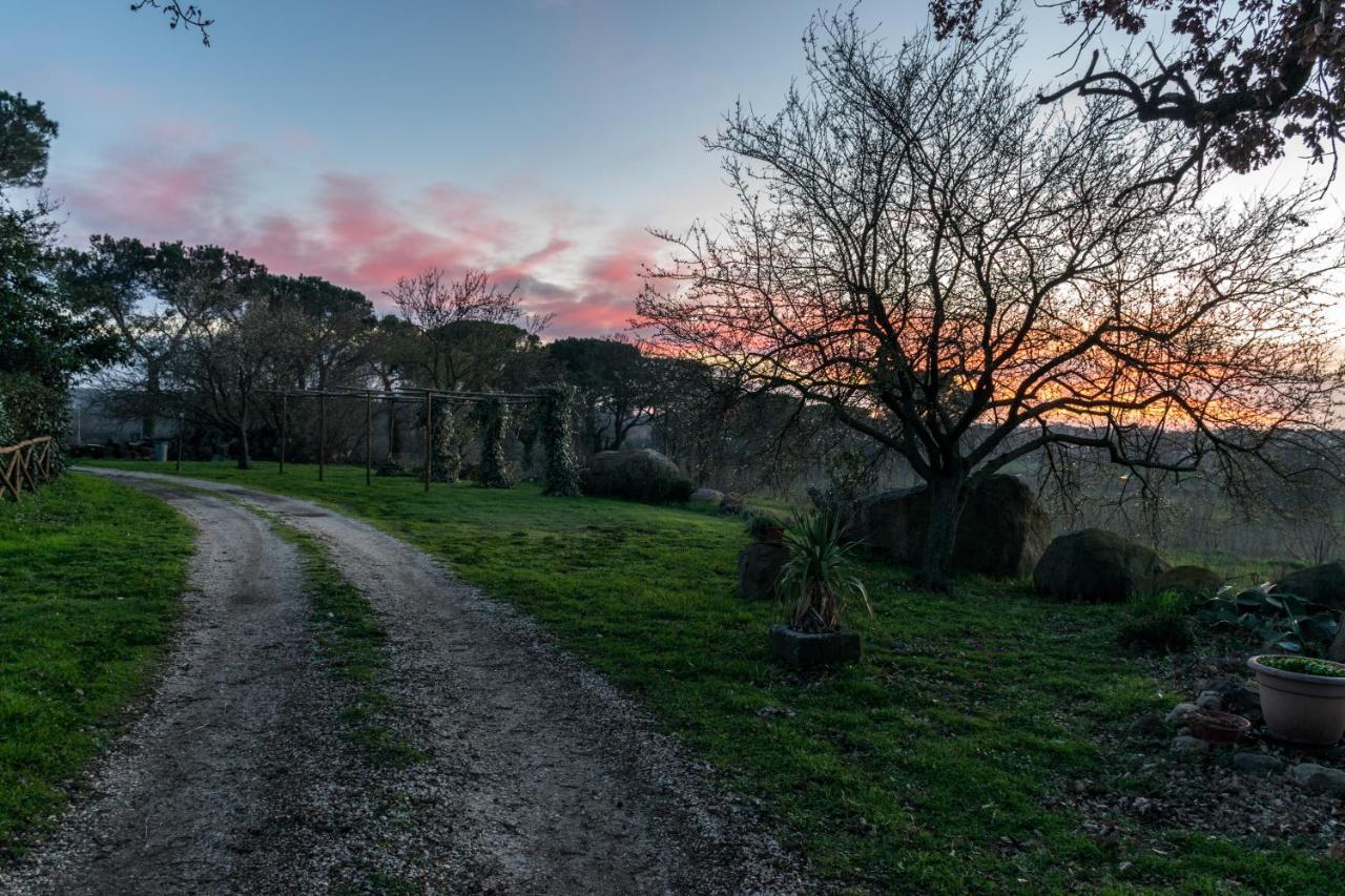Agriturismo Il Poggio Vetralla Exterior foto